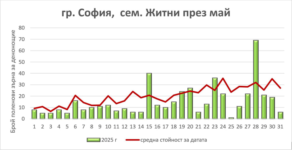 Графика с концентрация на зърна от сем. Житни през месец Май 2025