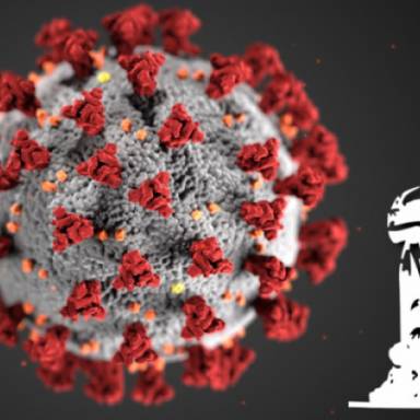 Communication on the spread of SARS-CoV-2 variants in the country March 1, 2025