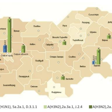 Announcement about the spread of influenza A virus in the country